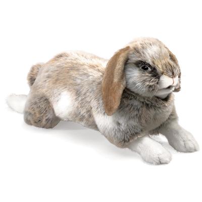 Puppet Holland Lop Rabbit