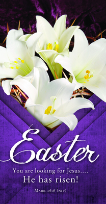 Offering Env - Easter: You Are Looking for Jesus.... He Has Risen!