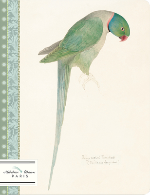 Perruche-Parakeet: Watercolor of Ring Necked Parakeet Circa 1835 by Edward Lear (1812-1888)