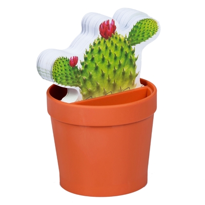 Desk Plant Notes with Cactus (Desk Tidy)