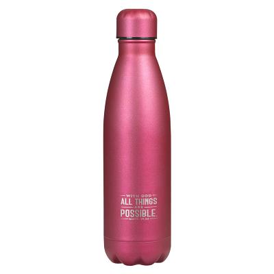 Stainless Steel Water Bottle a