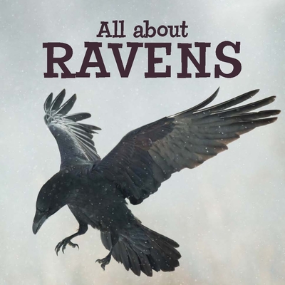 All about Ravens: English Edition