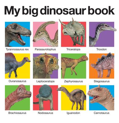 My Big Dinosaur Book