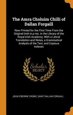 The Amra Choluim Chilli of Dallan Forgaill: Now Printed for the First Time from the Original Irish In, a Ms. in the Library of the Royal Irish Academy