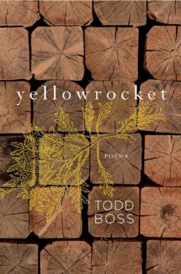 Yellowrocket