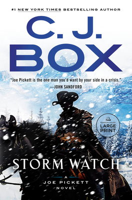 Storm Watch (Large Print Edition)