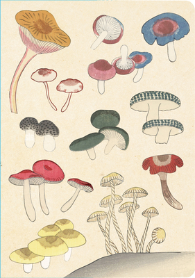 Healing Mushrooms Lined Paperback Journal: Blank Notebook with Pocket