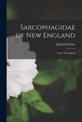 Sarcophagidae of New England: Genus Sarcophaga