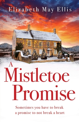 A Mistletoe Promise: A contemporary closed door holiday romance