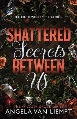 Shattered Secrets Between Us