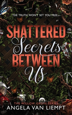 Shattered Secrets Between Us