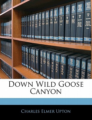 Down Wild Goose Canyon