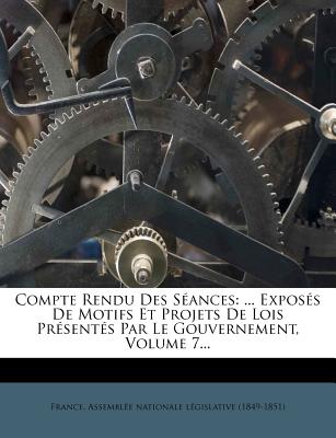 Compte Rendu Des Seances: ... Exposes de Motifs Et Projets de Lois Presentes Par Le Gouvernement, Volume 7...