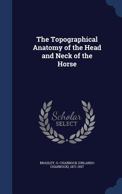 The Topographical Anatomy of the Head and Neck of the Horse