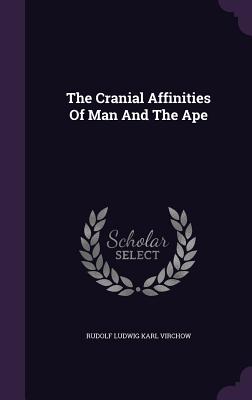 The Cranial Affinities Of Man And The Ape
