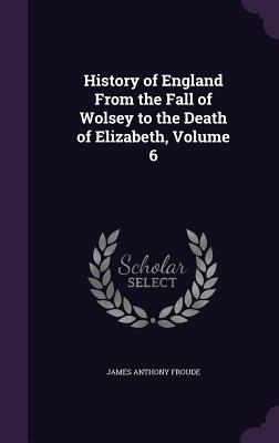 History of England From the Fall of Wolsey to the Death of Elizabeth, Volume 6