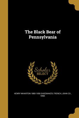 The Black Bear of Pennsylvania