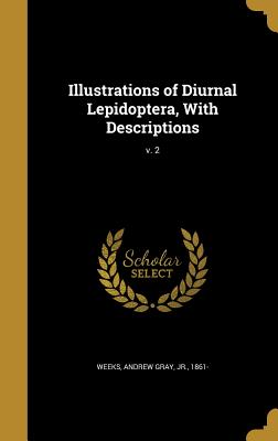 Illustrations of Diurnal Lepidoptera, With Descriptions; v. 2