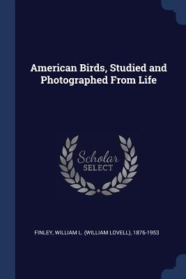 American Birds, Studied and Photographed From Life