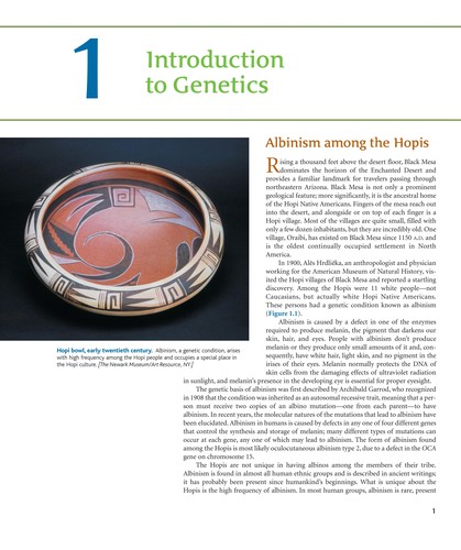 Genetics Essentials: Concepts and Connections