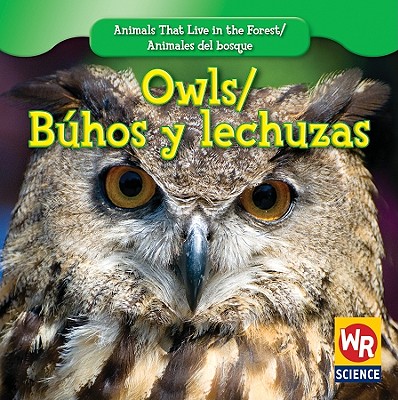 Owls / Búhos Y Lechuzas