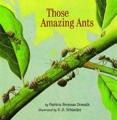 Those Amazing Ants