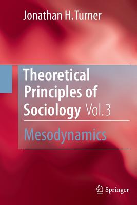 Theoretical Principles of Sociology, Volume 3: Mesodynamics
