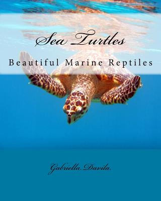Sea Turtles: Beautiful Marine Repitles