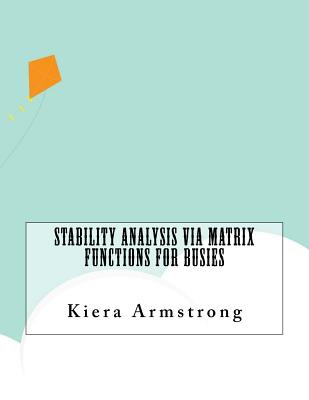 Stability Analysis Via Matrix Functions For Busies