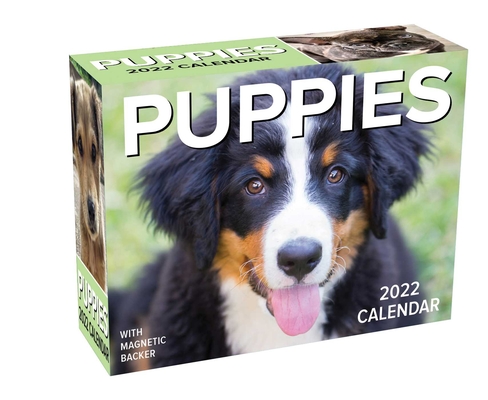 Puppies 2022 Mini Day-To-Day Calendar