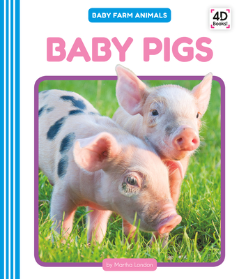 Baby Pigs
