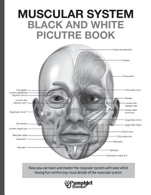 Muscular System Black and White Picture Book: Guide For The Muscular System