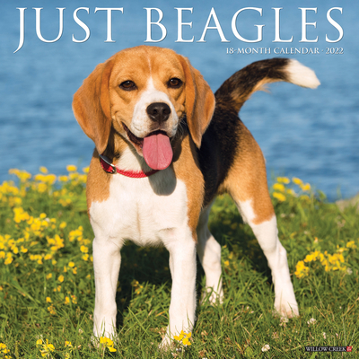 Just Beagles 2022 Wall Calendar (Dog Breed)