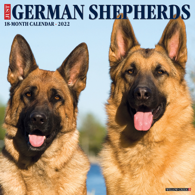 Just German Shepherds 2022 Wall Calendar (Dog Breed)