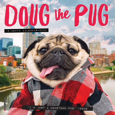 Doug the Pug 2022 Mini Wall Calendar (Dogs)
