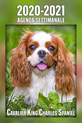 2020-2021 Agenda Settimanale Cavalier King Charles Spaniel: 221 Pagine - Dimensioni DIN A5 - Pianificatore - 24 Mesi - Due Pagine Per Settimana - Cale