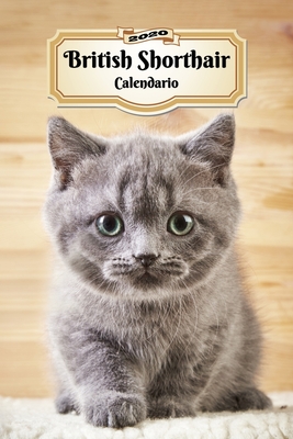 2020 British Shorthair Calendario: 107 Páginas - Tamaño A5 - Planificador Semanal - 12 Meses - 1 Semana en 2 Páginas - Agenda Semana Vista - Tapa Blan