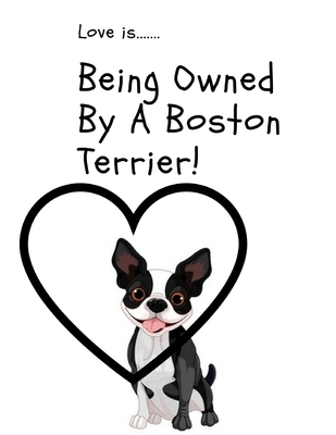 Love is...Being Owned By A Boston Terrier