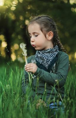 The Hacker-Proof Internet Address Password Book - Dandelion Girl: Alphabetical Website Username & Password Organizer Logbook Notebook