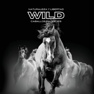 Naturaleza y Libertad WILD Caballos Salvajes: Álbum de fotos en color. Idea de regalo para los amantes de los animales y la naturaleza. Libro de fotos