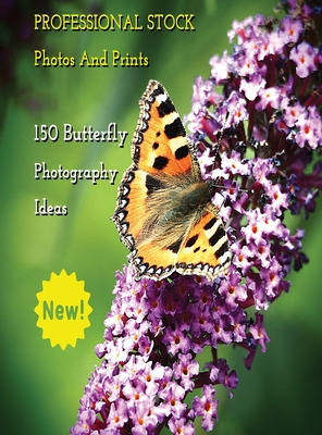 Professional Stock Photos and Prints - 150 Butterfly Photography Ideas - Full Color HD: Butterfly Pictures And Premium High Resolution Images - Premiu