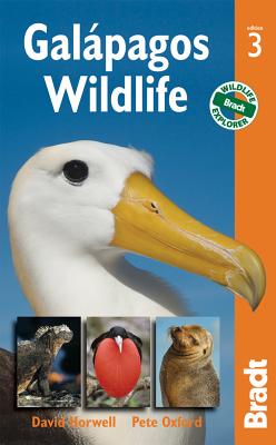 Galapagos Wildlife