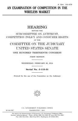 An examination of competition in the wireless market