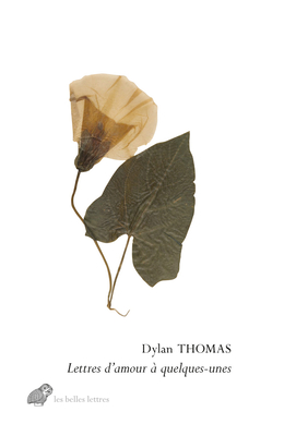 Lettres d'Amour a Quelques-Unes