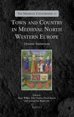 Town and Country in Medieval North Western Europe: Dynamic Interactions