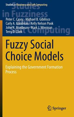 Fuzzy Social Choice Models: Explaining the Government Formation Process