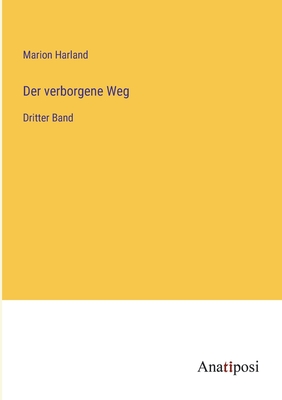 Der verborgene Weg: Dritter Band