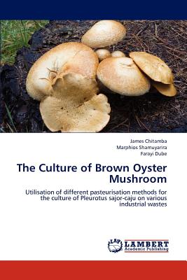 The Culture of Brown Oyster Mushroom