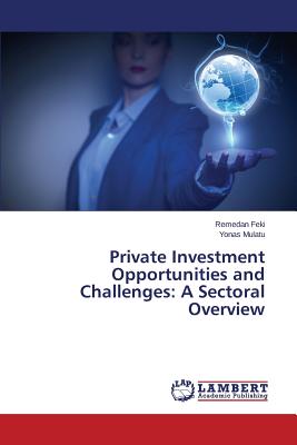 Private Investment Opportunities and Challenges: A Sectoral Overview