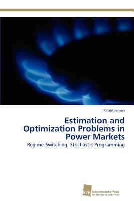 Estimation and Optimization Problems in Power Markets